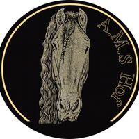 a.m.s_hof