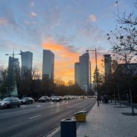pzdr_785