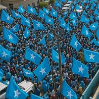 najka.codka