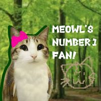 the.numbr_1meowl_fan