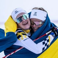 langdskidorswe