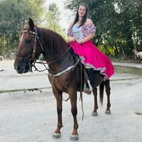 kovacsviki._
