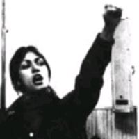 wsenderoluminoso