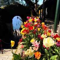 adri.ensuiza