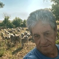 manuel.lopez9439