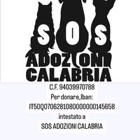 sosadozionicalabria