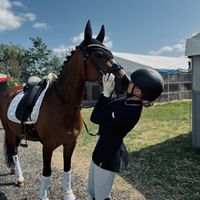 et.dressage