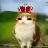 meowl_fan