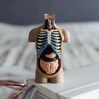 doctorfroy