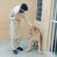 ch_shoaib_shabi777