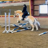 eq.flua