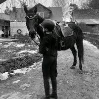 equ_11