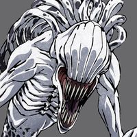 rikaah.shuji