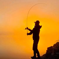 fishing.austria1