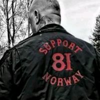 telemark81support