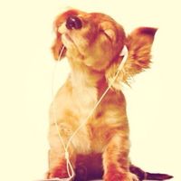sonido original