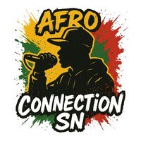 afro.connection.sn