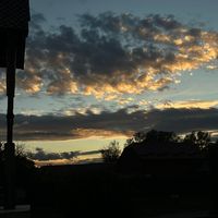sunet original