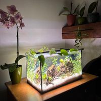 aquachill00