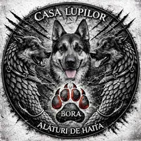 original sound - kobybora