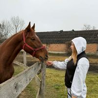 csenkiildiko6