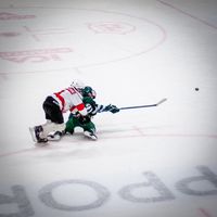 hockey_nr34