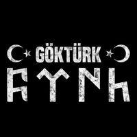 gokturk2896