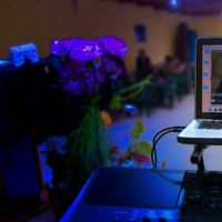sonido original