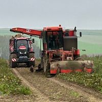 paulo_caseih02