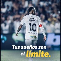 martinsegado_