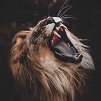 saeedbaig92