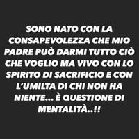 ciro.ciro381
