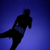 dbrtravis