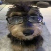 tiktoksuper123
