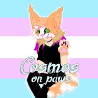 cosmos.on.paws