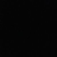 anonym.213a