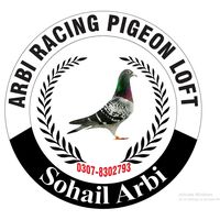 arbiracingpigeonloft2