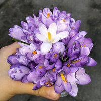 rania357696316rai