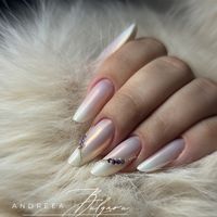 andreeamihaelabulgaru0