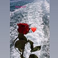 sunet original
