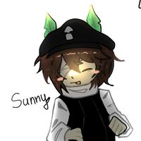 sunny._zonenadir