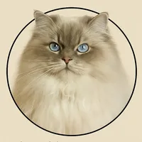 original sound - belle___puma