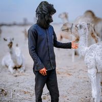 الصوت الأصلي