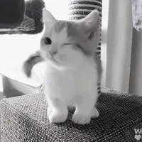 original sound - nikobuszek_