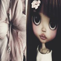 yours.fairy