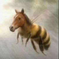 kakiberris