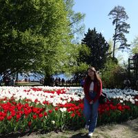 celeste_pnt