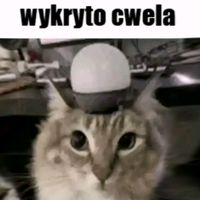 wojakowyobszczaniec