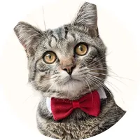 original sound - leptitmilo