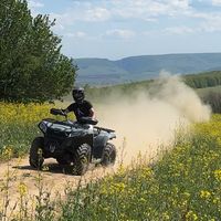 calandi_400s